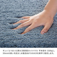 藤栄(FUJIEI) バスマット 45×60cm グレー AD-101 4545229157914 1個（直送品）