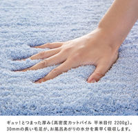 藤栄(FUJIEI) バスマット 45×60cm ブルー AD-104 4545229157945 1個（直送品）