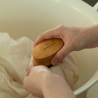 藤栄(FUJIEI) ランドリーブラシ FL-149 1個+ガルザイフェ FL-216 3個 セット 4545229501748 1個（直送品）