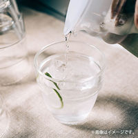 HARIO (ハリオ) 5点セット 冷水筒 1個 耐熱グラス 4個 食洗機対応 1セット(5点)