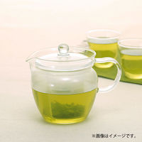 HARIO （ハリオ） 4点セット 水出しポット 急須 1個 グラス 2個 1セット（4点）