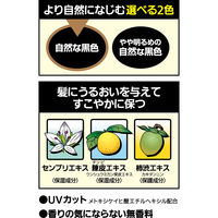 トップシェード 増毛感覚スプレー スピーディーヘアー カバースプレー ラージ 自然な黒色 250g 柳屋本店