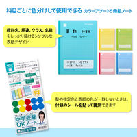 日本ノート 中学受験OKノート セミB5 10mmマス（中心リーダー入） LGU10G05 1パック（5冊入）