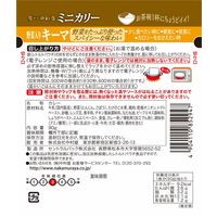 新宿中村屋 ミニカリー 野菜入りキーマ 1人前・90g 1セット（1個×2）レトルトカレー