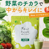 ぎゅっとたんぱくグリーンスムージー 1個 不二製油