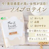 ぎゅっとたんぱくナチュラル 1個 不二製油