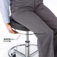 サンワサプライ 作業用ワークスツール 幅495×奥行495×高さ710～840mm ブラック SNC-RD10VBK 1脚（直送品）