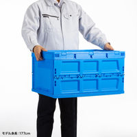 サンワサプライ 折りたたみコンテナ 75リットルふた付き CNT-CV75BL 1個