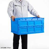 サンワサプライ 折りたたみコンテナ 75リットル CNT-75BL 1個