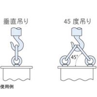 ふじわら アイボルト 鉄ユニクロ ミリネジM24 UIB-24 1個 65-2091-45（直送品）