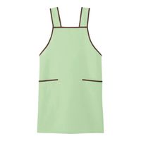 アズワン エプロン グリーン フリー 66-0015-53 1枚（直送品）