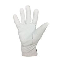 小野商事 豚クレスト 背抜き手袋 ゴムタック Lサイズ AG501-L 1双 65-0307-27（直送品）