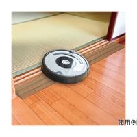 カーボーイ 痛くないぞ ゆるやかスローブ 90×5×1.5cm IT-01 1本 64-8271-47（直送品）