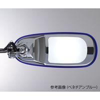 スワン電器 LEDデスクスタンド ベネチアンレッド PEX-01VR 1個 63-6510-11（直送品）