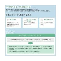 SANEI ミストストップシャワーヘッド グレー PS3062-80XA-H45 1個 63-4168-78（直送品）