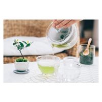 HARIO (ハリオ) 茶茶急須 450ml 禅 CHZ-45T 1個