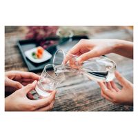 HARIO (ハリオ) 耐熱ガラス製 徳利 300ml メモリ付き 粋 TI-300T 1個（直送品）