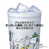 サンナップ アルミタンブラー スヌーピービーグルスカウト 540ml 1個