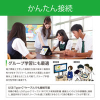 アイリスオーヤマ 電子黒板スタンドセット 65インチ 教育施設向け インタラクティブボード IB-65UHD02B 1台（直送品）