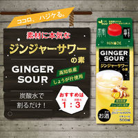 HiNODE ジンジャーサワーの素 20度 500ml 1本 しょうが 生姜 ジンジャー 国産素材 高知県産 約10杯分