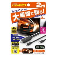 カシムラ HDMI変換ケーブル Type-C専用 PD KD-266 1本
