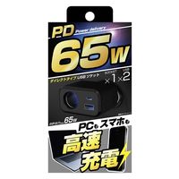 カシムラ ダイレクトソケット PD65W/リバーシブルUSB 自動判定 KX-241 1台