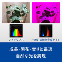 植物育成LEDライト PGL101 1台