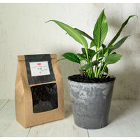 【園芸用品】 サンアンドホープ クラフト 竹炭 1L 1袋（1L入）