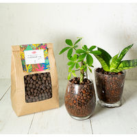 【園芸用品】 サンアンドホープ クラフト ハイドロボール 1L 1袋（1L入）