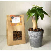 【園芸用品】 サンアンドホープ クラフト バークチップ（チップサイズS） 2L 1袋（2L入）