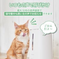 自動給餌器 猫 中小型犬 4L 1匹用 録音可 タイマー式 1日6食 丸洗い可能 ホワイト PET-AF03WH エレコム 1個（直送品）