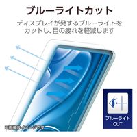 iPad Air (M2) 11インチ 2024年用 フィルム アンチグレア ブルーライトカット 抗菌 TB-A24MFLBLN エレコム 1個