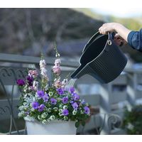 八幡化成 ガーデンビートル 5L BK 244783 1個