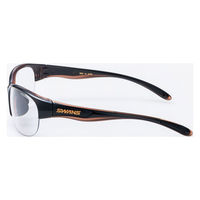 SWANS LUNA 調光レンズモデル LN-0066 BRBK ブラック×クリアブラウン LN0066 1個（直送品）