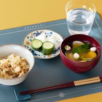 スクエア箸置き ネイビー LAKOLE/ラコレ