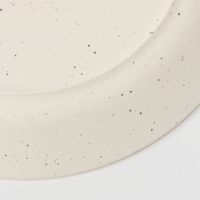 スプラッシュ柄プレート（S） ホワイト LAKOLE/ラコレ