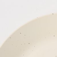 スプラッシュ柄プレート（L） ホワイト 1セット（2枚） LAKOLE/ラコレ