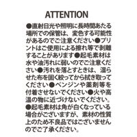 【LAKOLE/ラコレ】 ハードメガネケース（スリム） ホワイト