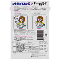 オキハム 中味汁 350g 1セット（1個×3） 沖縄ハム