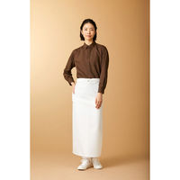 KAZEN マルチボタンダウンシャツ長袖(男女兼用) ブラウン KZN105-84 LL 1枚（直送品）