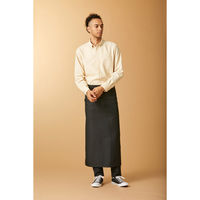 KAZEN マルチボタンダウンシャツ長袖(男女兼用) ベージュ KZN105-86 LL 1枚（直送品）