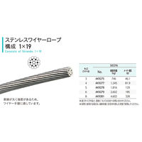 浅野金属 ステンレスワイヤーSUS316 1束×19本(200m) AK9278 1巻（直送品）