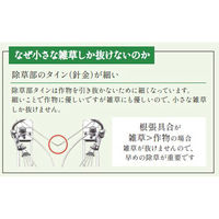 キュウホー 魔法のカルチ 柄なし P046-BWNEN 1個（直送品）