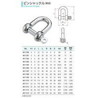 浅野金属工業 ピンシャックル(鍛造) AK11301 1セット(10個)（直送品）