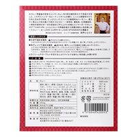 ミャンマーポークカレー ウェッターヒン マイルド＜特大豚肉＞ 250g 1セット（1個×2）レトルト 北野エース