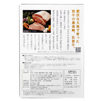 佐賀牛ビーフカレー 中辛 200g 1セット（1個×2）肉はたけしま レトルト 北野エース