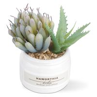 キシマ エクリア 消臭アーティフィシャルグリーン 三個セットタイプ KH-61189 1セット(3個)（直送品）