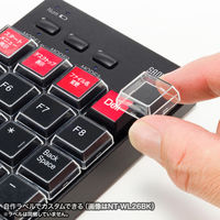 サンワサプライ プログラマブルテンキー(有線モデル) NT-26UBK 1個（直送品）