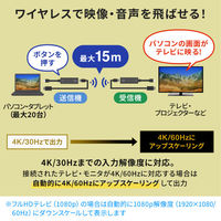 サンワサプライ 4K対応ワイヤレスHDMIエクステンダー VGA-EXWHD12 1個（直送品）