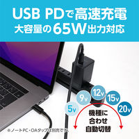ナカバヤシ PD対応 GaN ACアダプタ 65W Type-Cケーブル付 黒 IPA-CS03/BK 1個